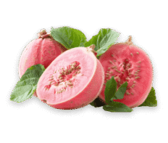 guava